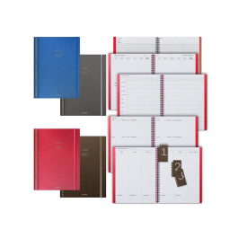 Additio Cuaderno Aula Planner DIN A4 160 Páginas Planificación Anual Mensual Evaluación Docentes Precio: 24.99000053. SKU: B126FFT2MR