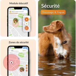 Weenect WEE3770000300413 Rastreador GPS para Perros, Modelo XS, Edición 2023, Color Negro