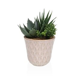 Planta Decorativa Versa Cerámica Plástico Fusion Suculenta 7,8 X 14 X 7,8 CM Precio: 4.99000007. SKU: B1739NBRVB
