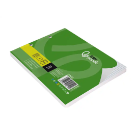 Liderpapel Recambio Cuadernos A5 Apaisado, 100 Hojas Cuadrícula 4 mm, Papel 75 g, 2 Taladros con Margen