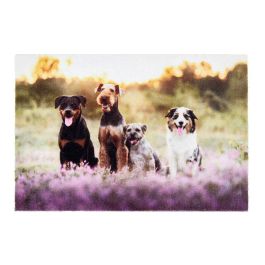 Tarres Felpudo Deco Print 100% Poliamida Diseño Grupo Perro Antideslizante Lavable 40 x 60 cm Precio: 13.6900005. SKU: B19MY3P3M9