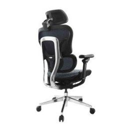 Equip 651052 Silla Oficina Ergonómica Premium, Soporte Lumbar, Malla Transpirable, Ajustes 3D, Negro Azulado Precio: 494.78999955. SKU: B1JLT6TJMW