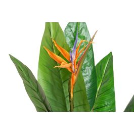 Planta DKD Home Decor 100 x 145 x 100 cm Planta DKD Home Decor 100 x 145 x 100 cm