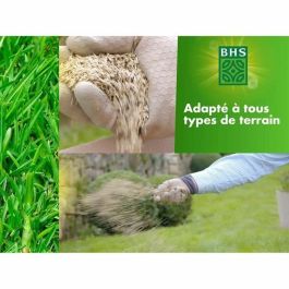 BHS AUC1719844199561 Césped Rústico 5 kg – Ideal Jardines Tradicionales, Todo Tipo de Suelo, Denso, Estético y Duradero BHS AUC1719844199561 Césped Rústico 5 kg – Ideal Jardines Tradicionales, Todo Tipo de Suelo, Denso, Estético y Duradero