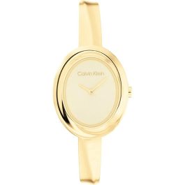 Reloj Mujer Calvin Klein 25100056 Precio: 211.94999969. SKU: B14NJSL2ZZ