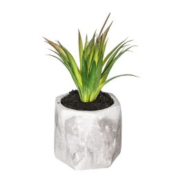 Planta decorativa con maceta 7x14cm modelos surtidos