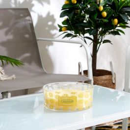 Home Deco Factory Vela Citronela Antimoustique 4 Mechas Vidrio 760g d.19cm h.7,5cm 25h
