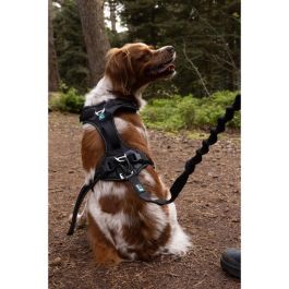 Arnés para perros - SYMBIOZ - XS - Negro / Azul Arnés para perros - SYMBIOZ - XS - Negro / Azul
