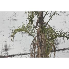 Espejo de pared Home ESPRIT Verde Dorado Colonial 60 x 4 x 120 cm 60 x 3,5 x 120 cm