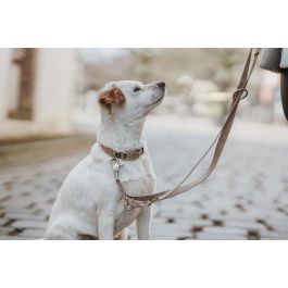 Hunter Correa Ajustable Inari 200 cm Beige