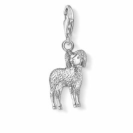 Charm Mujer Thomas Sabo 0584-001-12 Gris 30 mm Precio: 13.6900005. SKU: B17ADYKMVQ