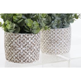 Planta Decorativa DKD Home Decor Jarrón Verde Resina PE (10,5 x 10,5 x 24 cm) (2 Unidades) Planta Decorativa DKD Home Decor Jarrón Verde Resina PE (10,5 x 10,5 x 24 cm) (2 Unidades)