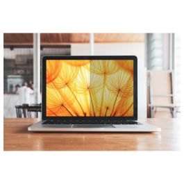 3M Filtro Privacidad BP140W9B para Portátil 14" 16:9 Antideslumbrante