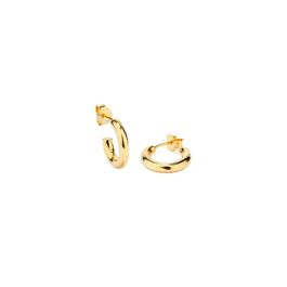Pendientes Mujer Radiant RY000226 Precio: 74.50000008. SKU: B16ZE8YK67