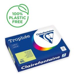 Papel De Color A4 Clairefontaine Trophee 80G 500H Pastel Verde Natural Precio: 9.9499994. SKU: B1KLWGEGNB