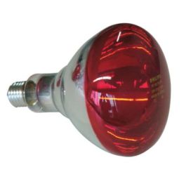 Philips Bombilla Infrarrojos Roja 150 W 1 Unidad Precio: 12.50000059. SKU: B185CYKCDG