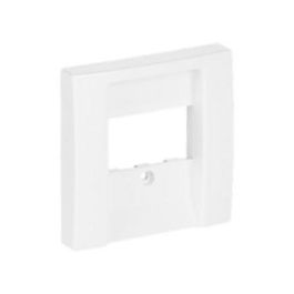 BUSCH-JAEGER BJ 2539-914 Zentralscheibe aws Busch-balance SI Abd. Datenkommunikation