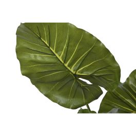DKD Home Decor Planta Tropical Taro Verde PE 64 x 120 x 64 cm (2 Unidades)
