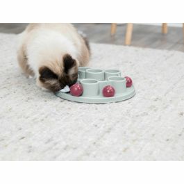 Trixie TRI4011905458953 Juego de Estrategia para Gatos Pentágono ø 28 cm