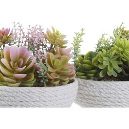 DKD Home Decor Planta Verde Rosa 17 x 17 x 14 cm (4 Unidades)