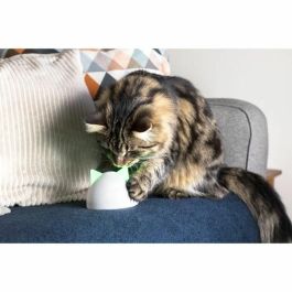 Sureflap Hub Connect para Productos Sure Petcare y Aplicación, Blanco, para Gatos y Perros