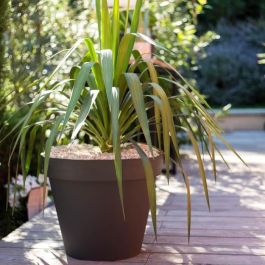 EDA Maceta Redonda Toscana de Polipropileno - Ø 48x40 cm, 43 L - Gris Antracita - Uso Exterior/Interior - Resistente Heladas y UV