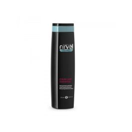 Nirvel Care Champú Color Care 250 Ml Precio: 8.49999953. SKU: SBL-NCU7412