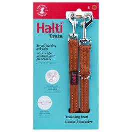 Correa de adiestramiento Company of Animals BURNT Naranja