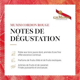 Mumm Brut x1