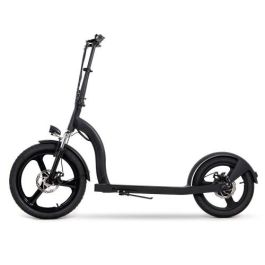 (D) Youin Scooter Electric 2XL - Rueda 20/16"