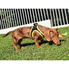 Nayeco Arnés X-Trm Neo Negro XXS para Perros, Ajustable 30-35 cm con Tejido Transpirable y Reflectante