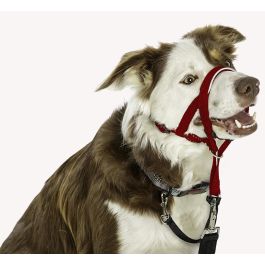 Bozal Halti Headcollar Rojo Talla 4 Bozal Halti Headcollar Rojo Talla 4