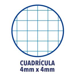 Cuaderno ENRI Espiral Cuadriculado A5 A5 (148 mm x 210 mm) 15,5 x 21,5 cm