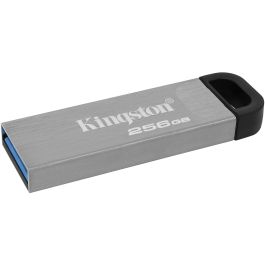 Pendrive Kingston DTKN/256GB 256 GB USB 3.2 Negro 256 GB