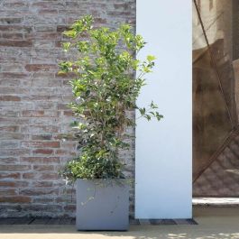 Deroma Maceta Cubo Autorriego 9H81ZSZ217 Gris Ceniza 39 cm