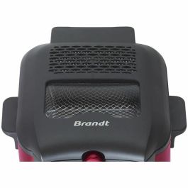 Brandt FRI25R Freidora eléctrica Depósito fijo, 2,5 L aceite, para 1kg patatas fritas, Ventana de control, Rojo/Negro