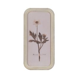 Cuadro Impresión Flores 4/M Dm-Cristal 25 X 2 X 50 cm