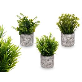 Ibergarden Maceta Oscura para Arbusto, Plástico/Magnesio, 18 cm Alto, Surtido Aleatorio (18 Unidades) Precio: 38.50000022. SKU: B166889JZT