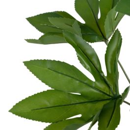 Rama Aralia Verde "Pvc" 52 X 56 X 56 cm