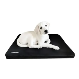 B. Braun Cama de Hospitalización S 39.5x29.5x3 cm 1 Unidad Precio: 21.95000016. SKU: B1KND7W5SD