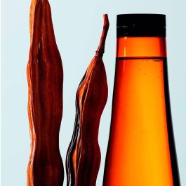 Shu Uemura URBAN MOISTURE Champú Hidratante para Cabello Seco 300 ml