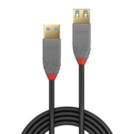 Lindy Cable Extensor USB 3.2 Type A a A 1m, 5Gbps, Línea Anthra