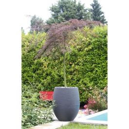 EDA 13737GANTPX12 Maceta Redonda Grafito Ø50cm, 53L, Gris Antracita EDA 13737GANTPX12 Maceta Redonda Grafito Ø50cm, 53L, Gris Antracita