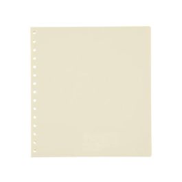 Separadores Pardo Cartulina A4+ 10 Pestañas 16 Taladros (Set de 10) Precio: 17.95000031. SKU: B1ER9Z6BDJ