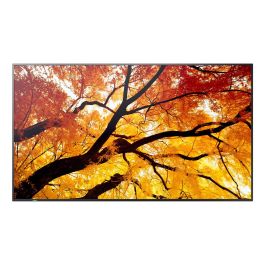 Monitor Videowall Sharp 60006058 4K Ultra HD 86" Precio: 3635.50000055. SKU: B1CF3W3QYH