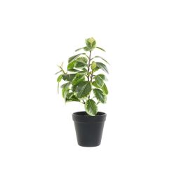 DKD Home Decor Planta Artificial Verde y Negro 15 x 35 x 20 cm de PVC (4 Unidades) Precio: 19.95048. SKU: B1CJFLZRG7