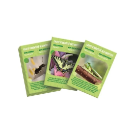 Clementoni CLE52880 La casa de insectos