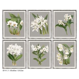 DKD Home Decor Cuadro Cottage Surtido Gris Blanco Flores 60x50x2,8 cm Cristal Abeto Decoración Pack 6 Unidades