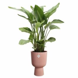 Elho ELH2904503018100 Maceta Vibes Fold Coupe Rosa para Interior, 100% Reciclada, 30x29,5x45 cm