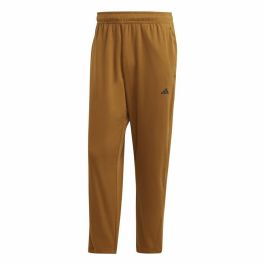 Pantalón Largo Deportivo Adidas Base Training Dorado Precio: 52.5000003. SKU: S64127269